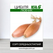 Насіння цибулі Любчик, 0,5 кг